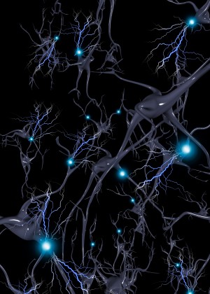 Brain Cells Neurons